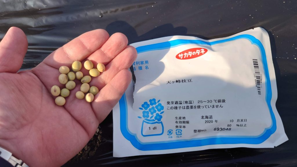 天ヶ峰エダマメ